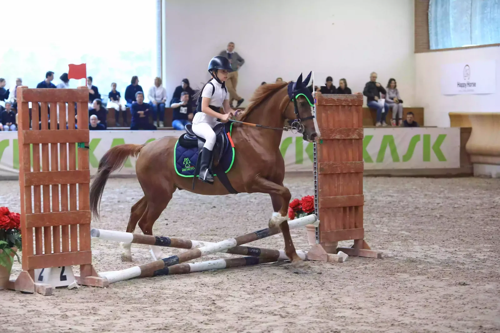 One of our riders competing in show jumping