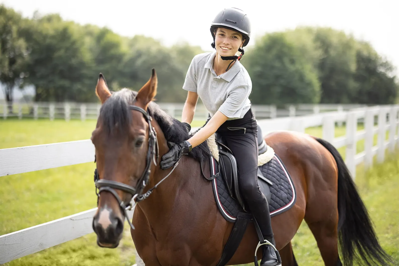 Riding lesson on a bay horse