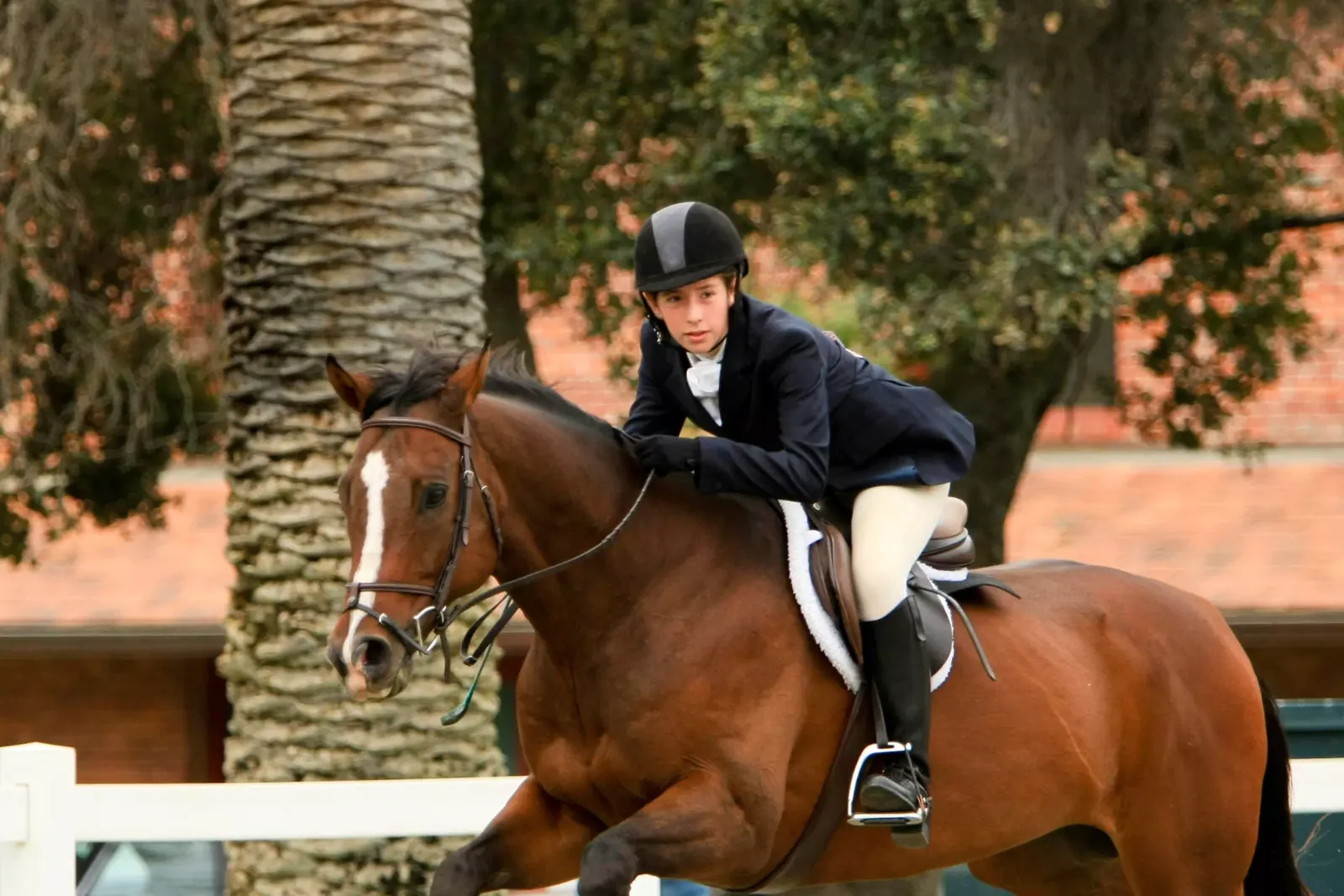 Rider jumping in her competition jacket