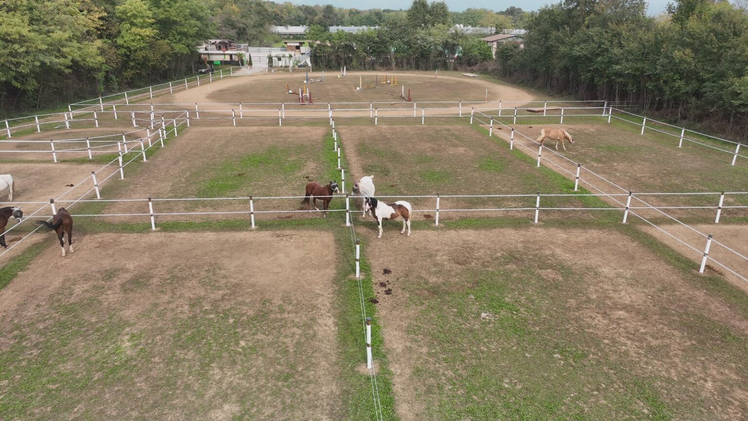 WhatsApp Image 2025-10-28 at 10.36.46