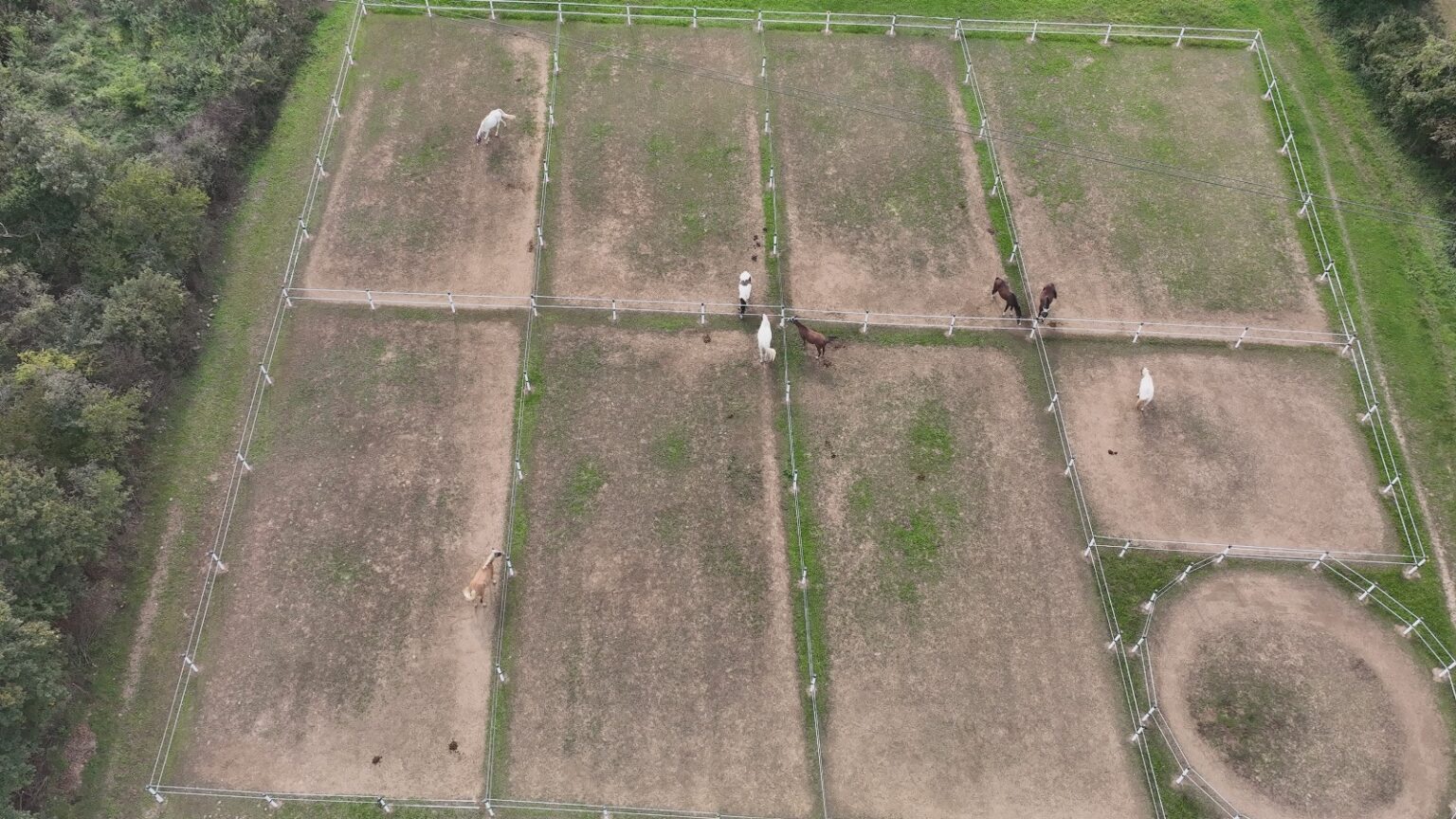 WhatsApp Image 2025-10-28 at 10.36.47