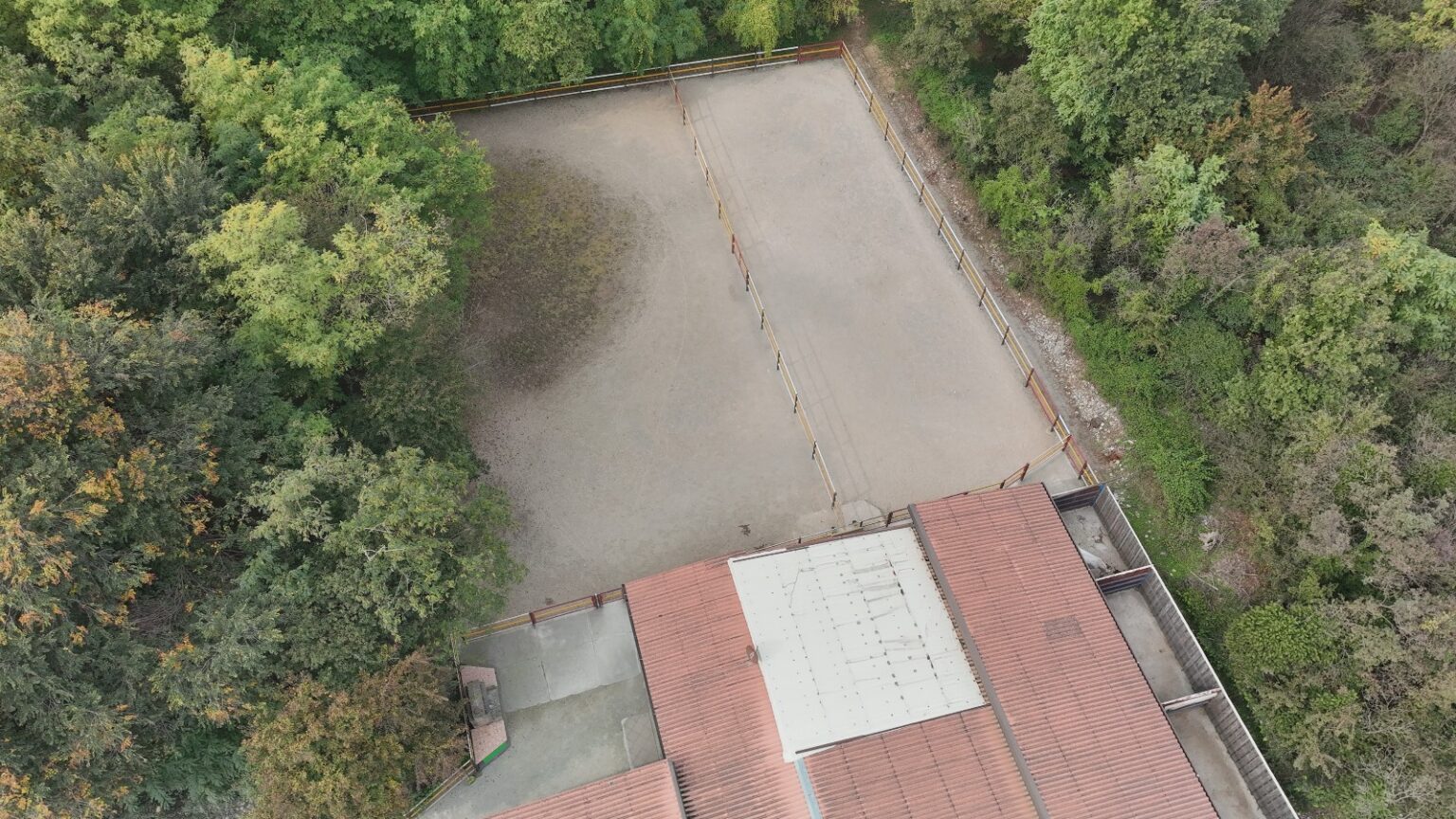 WhatsApp Image 2025-10-28 at 10.36.49 (1)